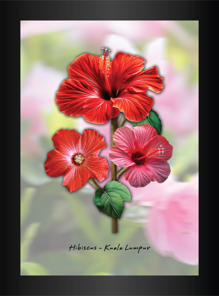 Hibiscus -Kuala Lumpur (Swarovski) A4 Frame