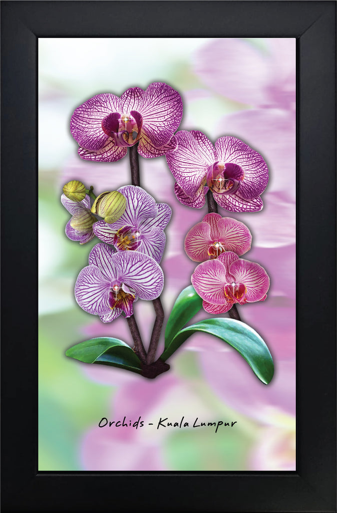 Orchids - Kuala Lumpur (Swarovski)