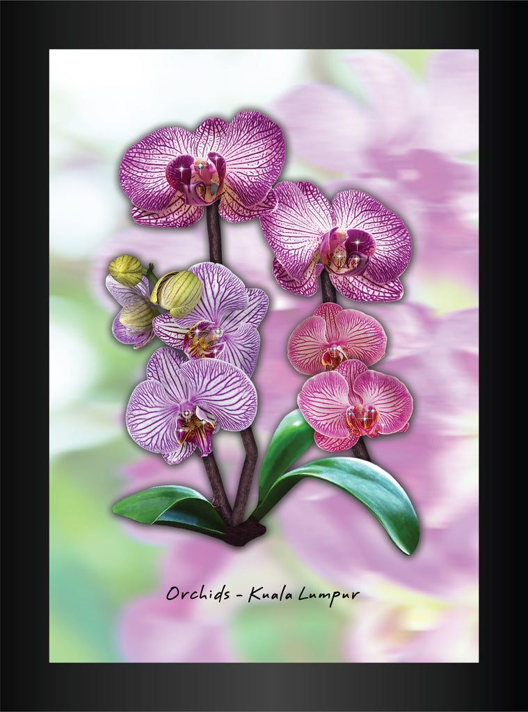 Orchids -Kuala Lumpur (Swarovski) A4 Frame
