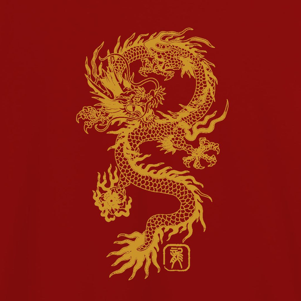 ARCH Dragon Design T Shirt (Maroon)
